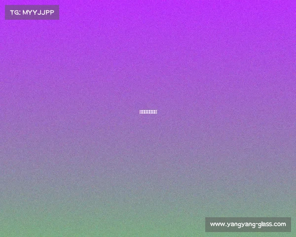 洋基队是哪里的